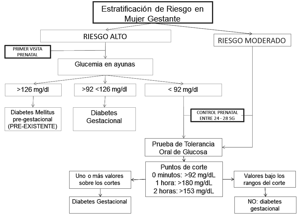 Dieta diabetes gestacional gpc Dieta diabetes gestacional gpc